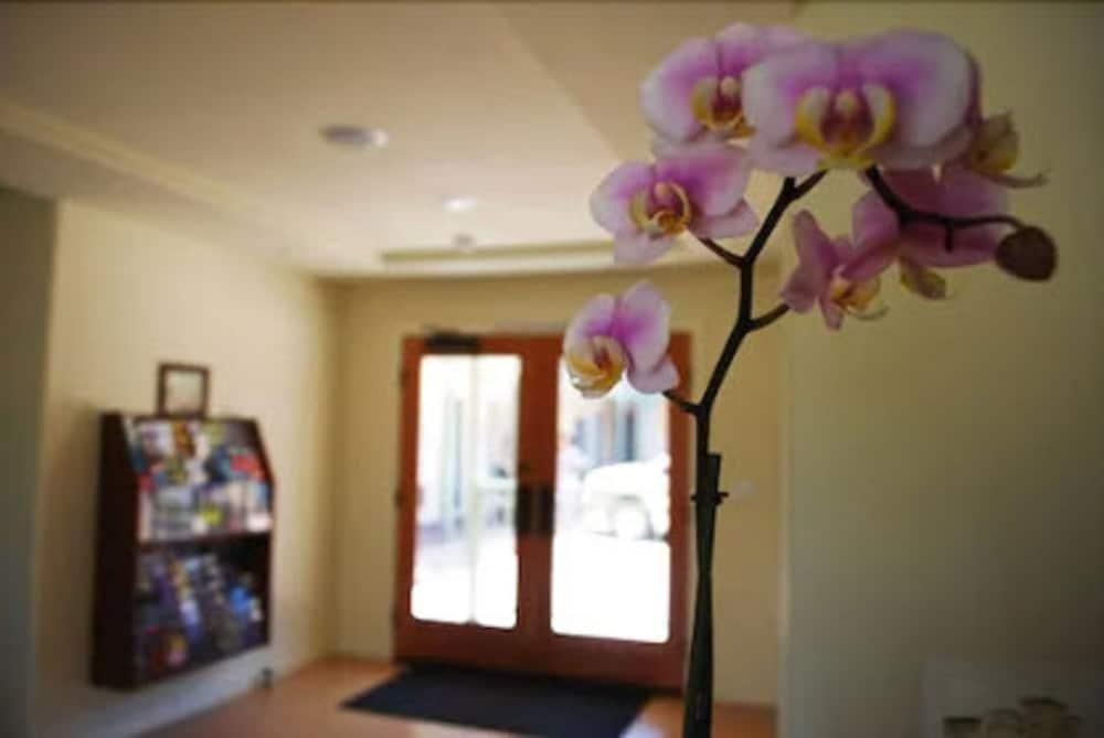 Bella Capri Inn And Suites Camarillo Ngoại thất bức ảnh